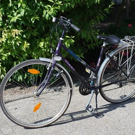 Schiffsblick Horumersiel *